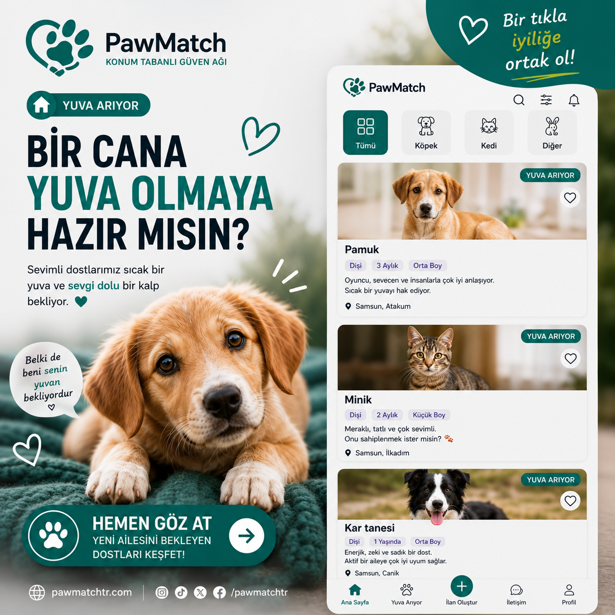 PawMatch yuva arıyor sosyal medya görseli